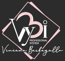 VyBi Professional System